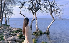 人妻被下媚药HD